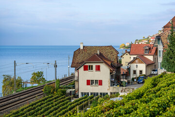 Fototapeta na wymiar Village dans les vignobles du Lavaux en Suisse 