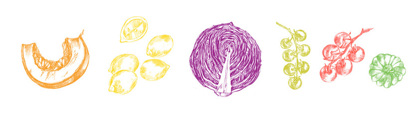 Obraz premium Hand drawn vegetable illustration, food sketch