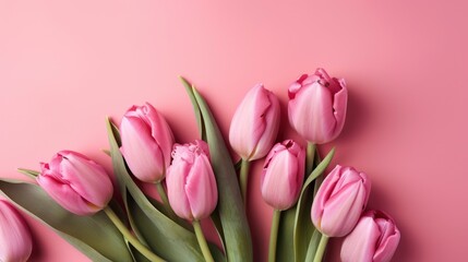 pink tulips on a pink wall, isolated background, blank empty copy space, template for text, mothers day, feminine fresh cute flowers, generative ai
