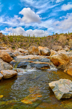 Small fall along Tanque Verde Creek in the Coronado National Forest, Arizona.