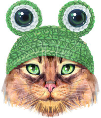 Cute cat in a frog hat with eyes. Cat for t-shirt graphics. Watercolor Somali cat breed illustration