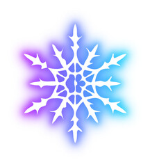 Collection of snowflake neon