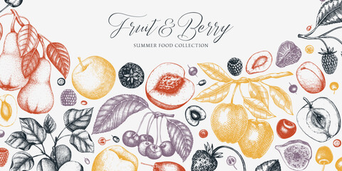Berry and fruit background in color. Cherry, plum, apple, peach, apricot, fig, strawberry in sketch style. Hand-drawn fruit tree banner template in vintage style.