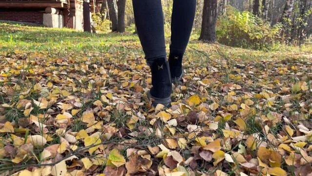 female legs in black jeans and boots walking on a road with orange fallen leaves in autumn park, Active outdoor lifestyle, freedom concept