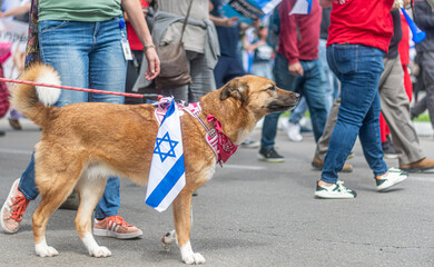 Civilian protests in the city of Rehovot Israel against the planned changes of Israeli government...