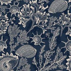 Sea corals and seashells on a dark blue background 