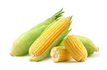 Fresh yellow corn isolated on white background.