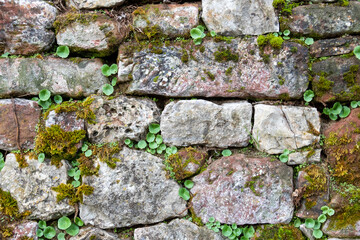 Vieux mur en pierre