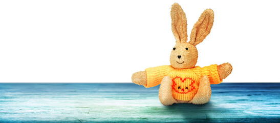 Funny Easter bunny. Happy Easter holiday concept.