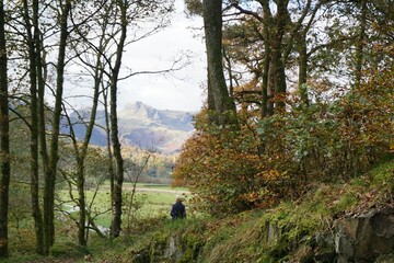 Steep and winding trail meandering through a forest of deciduous trees