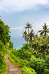 Fototapeta na wymiar Path to the sea coast among palm trees and rainforest