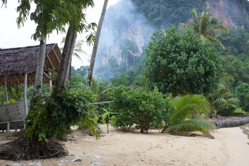 paysage de village dans une foret tropicale
