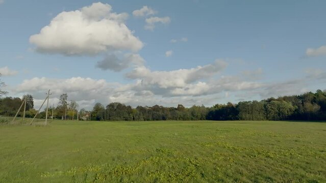 View of a field with green woods in the background.