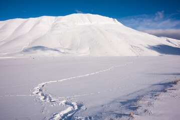 Winter landscape, footprints path and fence on snow valley in bright sunny day
