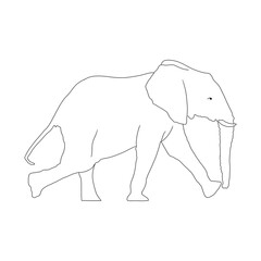 line art illustration of an elephant