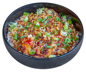 Chiken Katsu