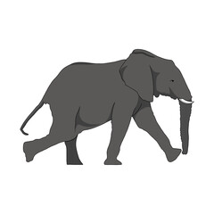 Fototapeta premium illustration of elephant
