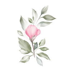 Botanical composition with foliage flowers elements on a white background. 