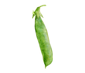 Watercolor illustration of green peas, isolated on white background