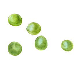 Watercolor illustration of green peas, isolated on white background