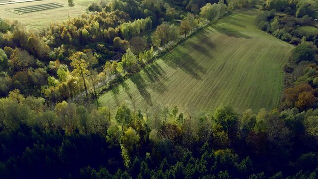 Aerial view of a beautiful green field in the forest