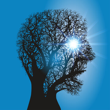 Concept de l’environnement avec un arbre vu à contre-jour qui forme le profil d’une tête humaine.