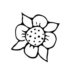 Vintage ink hand drawing little flower 
