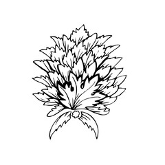 Vintage ink hand drawing flower 