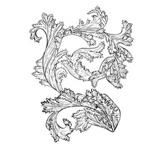 Vintage ink hand drawing leaf acanthus 