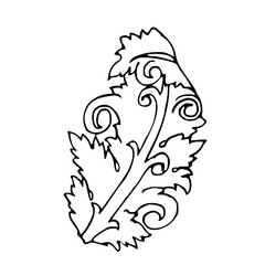 Vintage ink hand drawing  acanthus leaf