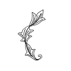 Fototapeta na wymiar Vintage ink hand drawing acanthus leaf Scroll 