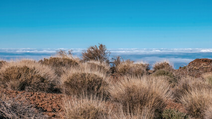 Im Teide- Nationalpark auf Teneriffa Panorama- Aufnahme vom Wolkenmeer in der Caldera	