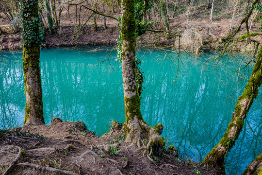 Rivulets bilder – Bläddra bland 79,664 stockfoton, vektorer och videor ...