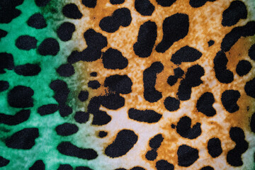 Color Animal print modern background