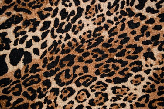 Leopard animal print background texture