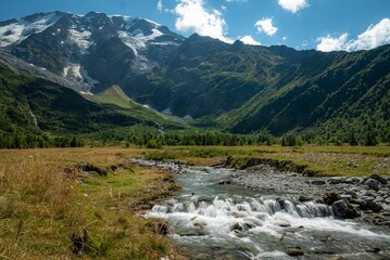 Fototapeta na wymiar A river streaming in a middle of a green landscape in the Tour Du Mount Blanc