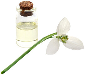 Snowdrop with essential oil in a bottle