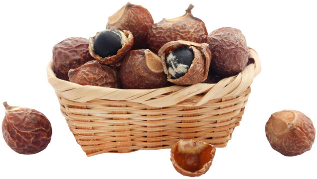 Sapindus mukorossi or Indian soapberry