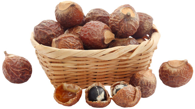 Sapindus mukorossi or Indian soapberry