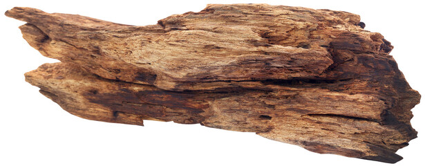 Natual driftwood - obrazy, fototapety, plakaty