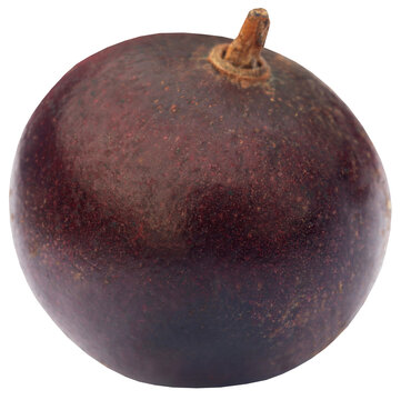 Flacourtia fruit