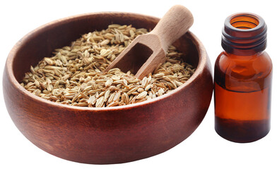 Fennel seeds with essential oil in a bottle