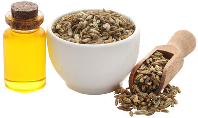Fennel seeds with essential oil in a bottle