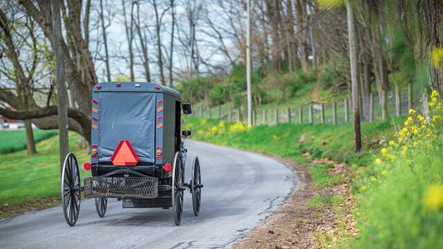 Amish horse and buggy on the road in a park in Pennsylvania