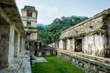Fototapeta na wymiar Scenic view of Palenque ruins and pyramids under blue cloudy sky in Mexico