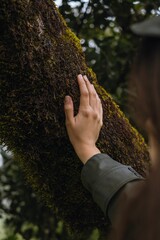 Hand touching a tree, close up details