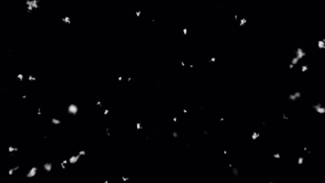 Snow blowing explosion isolated on alpha background in 4K