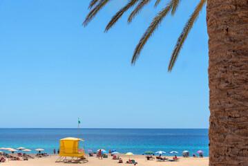 playa de Morro Jable de arena blanca y mar turquesa llena de gente disfrutando del sol junto a un puesto de socorrista amarillo cerca de una palmera y con bandera verde en Fuerteventura, Islas canaria