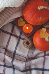 Pumpkin, woolen plaid and burning candle. Autumn still life