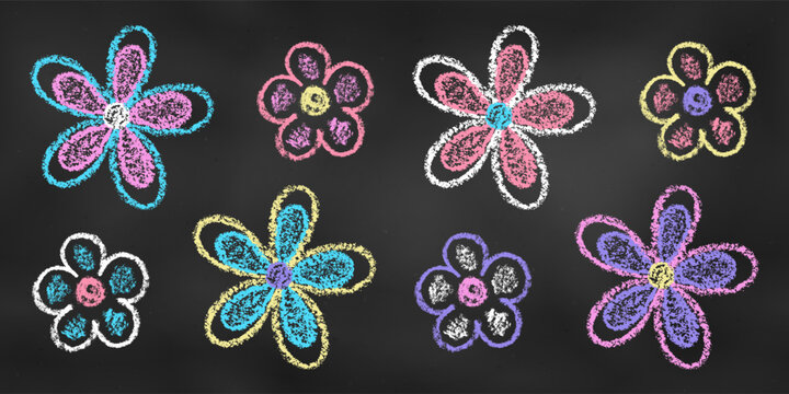 Set of Design Elements Flowers of Different Colors Isolated on Chalkboard Backdrop. Realistic Chalk Drawn Sketch.